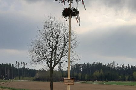 Familie Scheidl