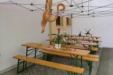 Perfekte Dekoration!