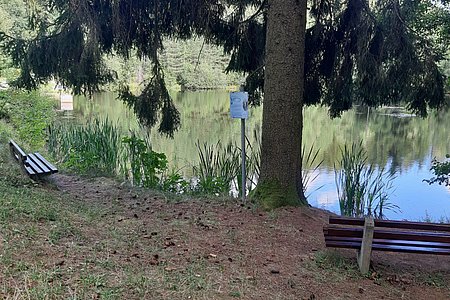 Lugenteich: Hier führt der wasser.weg vorbei