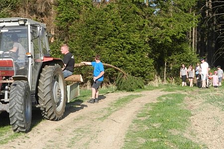 Kaum ein Baum konnte für den Ortsvorsteher die Erwartungen erfüllen. Das Wichtigste war auf jeden Fall: Es musste ein ganz ein großer sein!