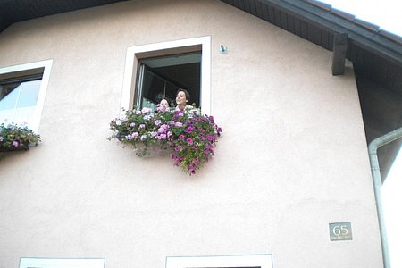 Was ist da bloß in meinem Garten los?