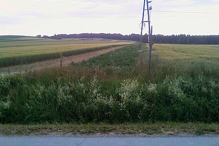 Hier wird der neue Weg in die Landesstraße Richtung Limbach einmünden!