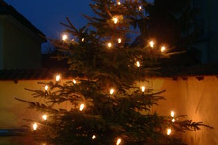 der strahlende Christbaum bringt Weihnachtsstimmung ins Dorf