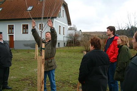 Praktische Anwendung bei jungen Obstbäumen