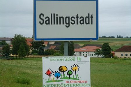 Sallingstadt beteiligt sich heuer wiederum Blumenschmuckwettbewerb