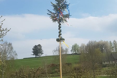 Familie Wally