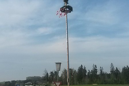 Maibaum :-)