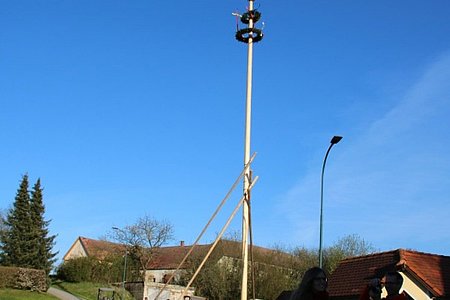 Es ist geschafft, der Baum steht