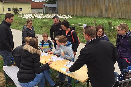 1. Station: Wissen rund um die Gänse