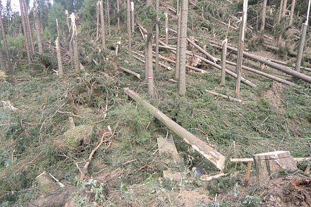 Hier führte einst ein Wanderweg: der zeiten.weg. Die Brücke ist heil geblieben, doch vom Weg ist nichts mehr zu sehen.