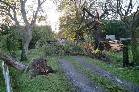 Zufahrt beim Hause Kammerer in Walterschlag Nr. 23