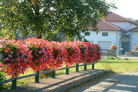 Blumenschmuck
&nbsp;